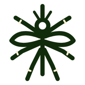 Mosquito Aedes