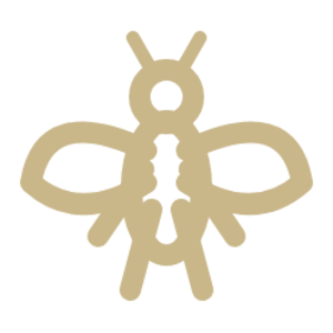 Jejenes